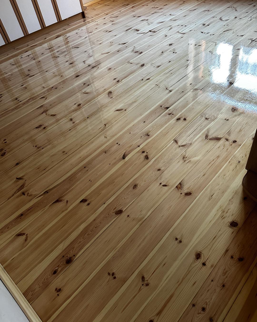 480513305 640794525008211 4661861443669439553 n