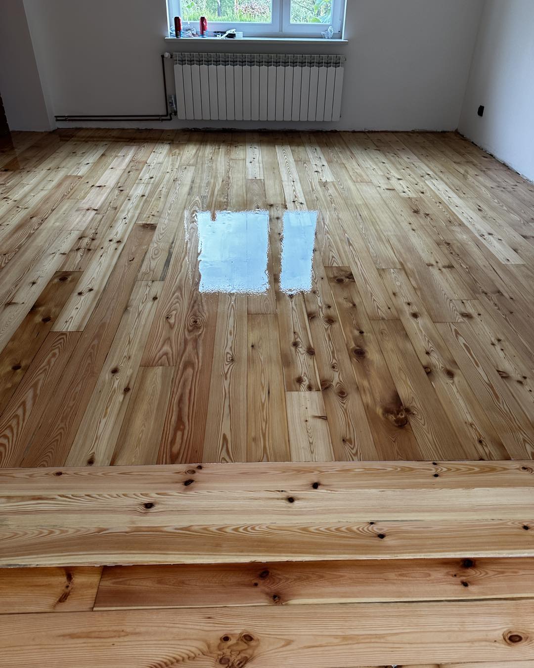 480819453 641074218313575 7689698736675198252 n