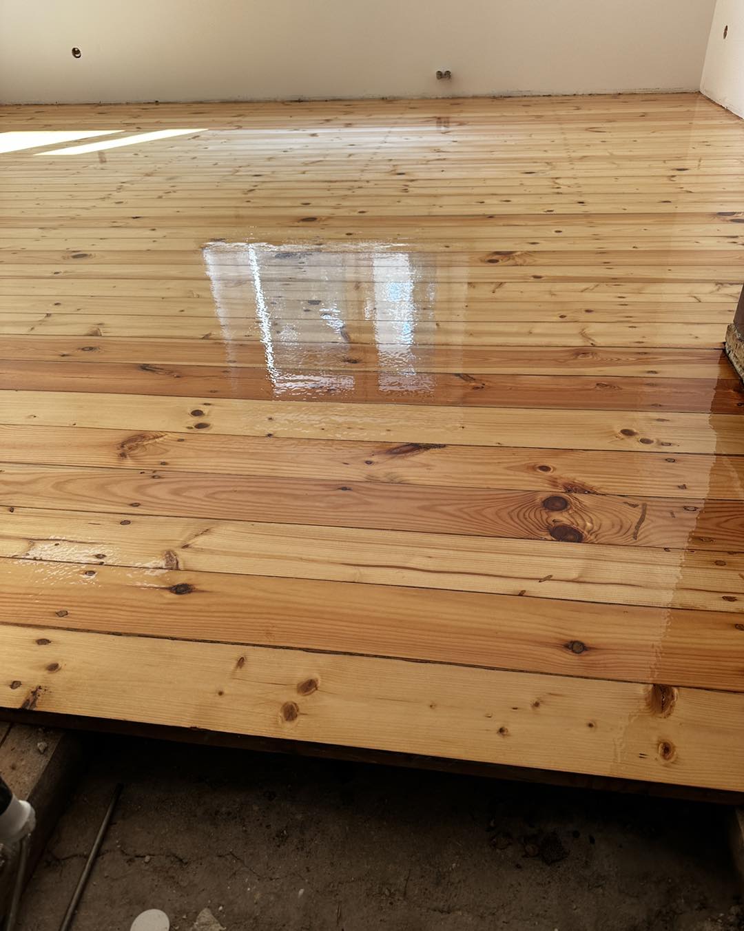 481004526 640794618341535 7150848458725291289 n