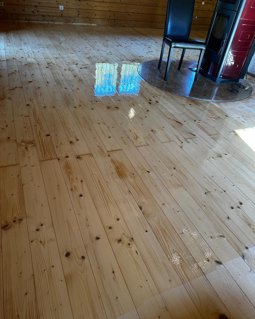 481158680 640889144998749 747684995881701538 n