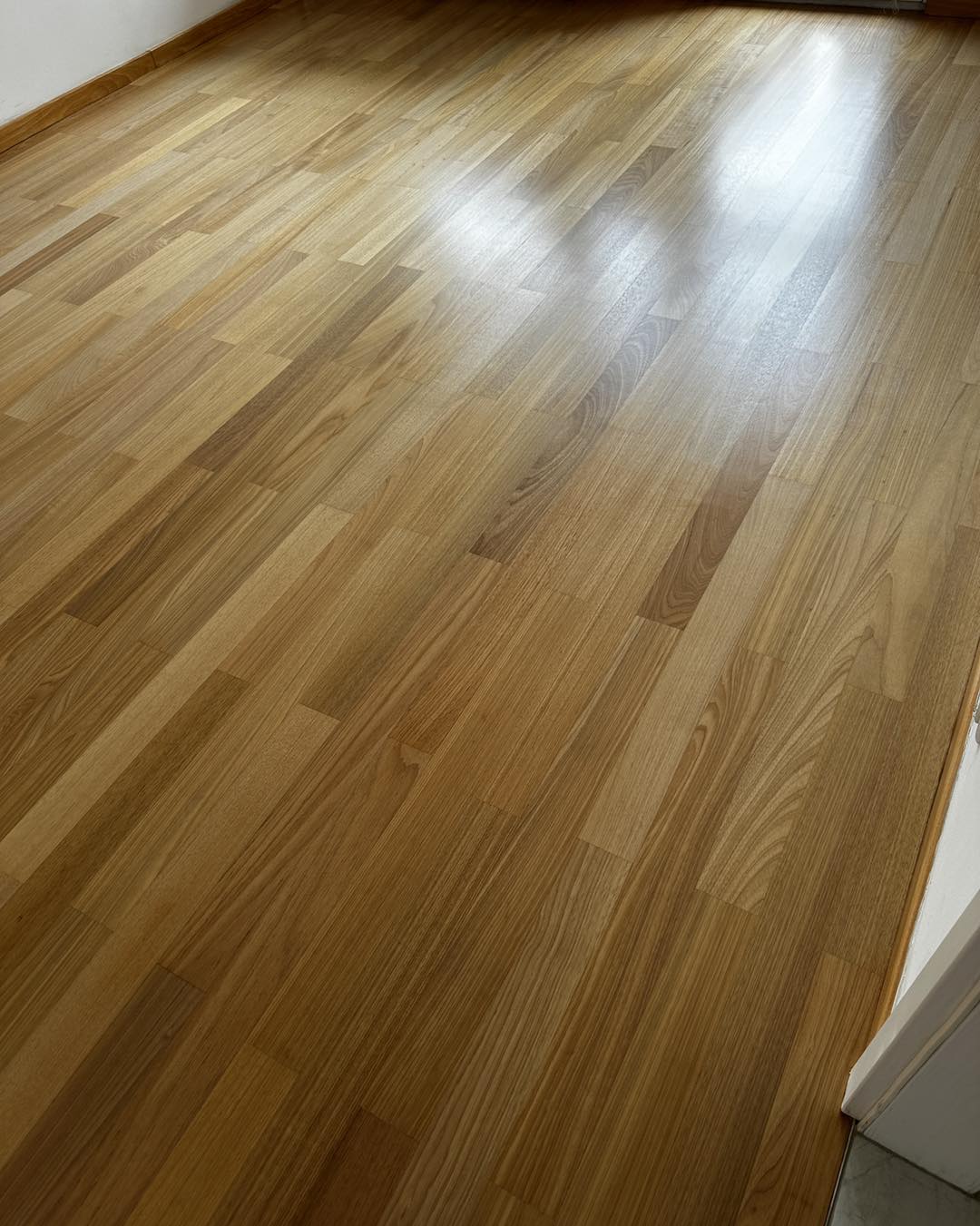 511952799 729123189508677 7958438915195007861 n