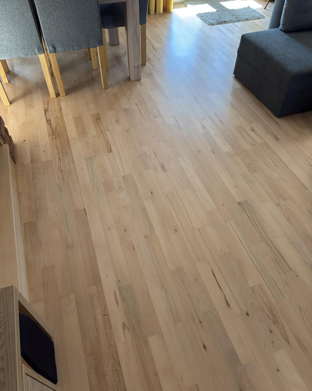 546147570 786660430421619 1470789614558344288 n