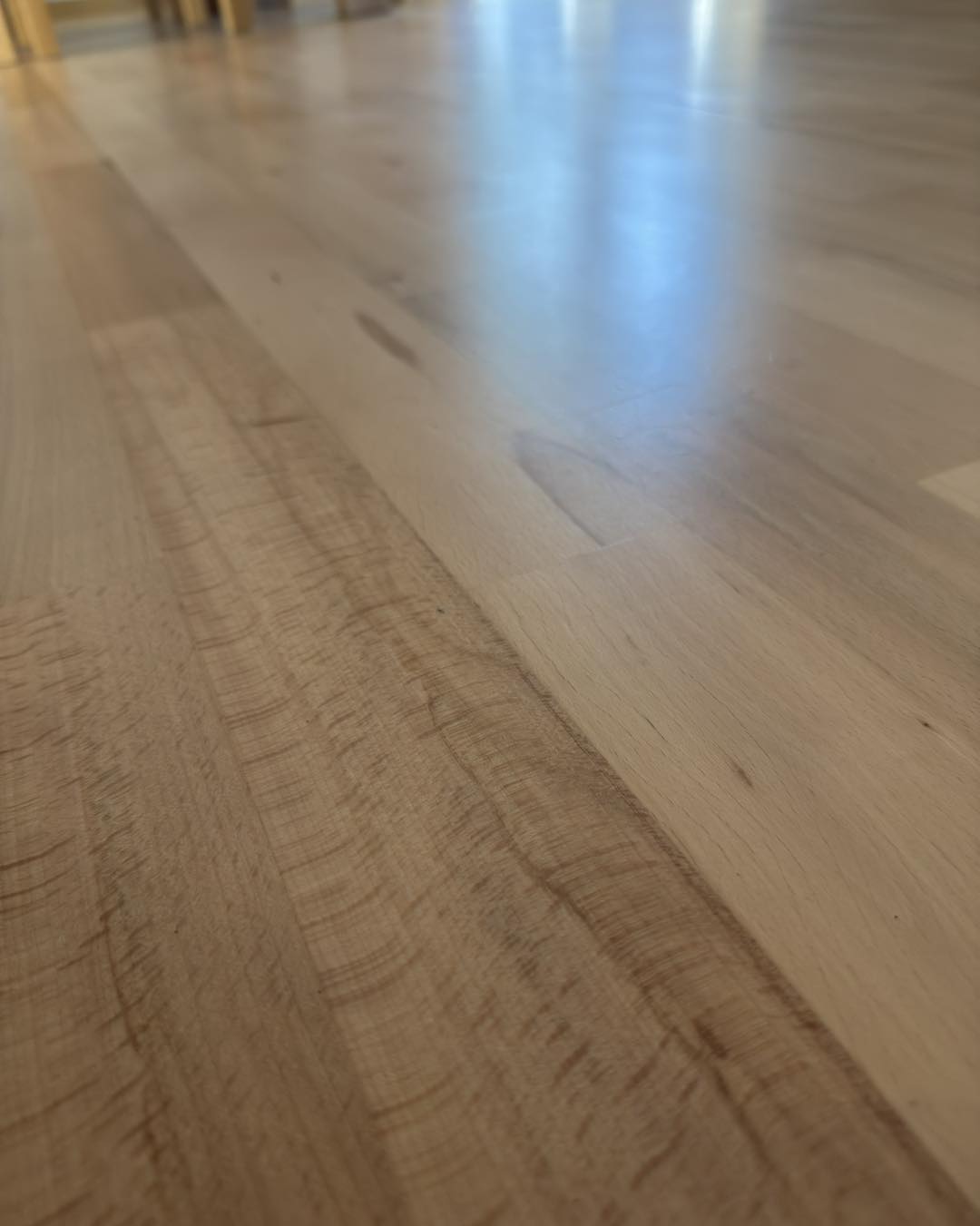 546370336 786660423754953 3776688665025970802 n