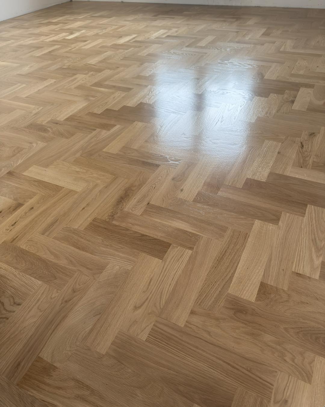 575187680 834907032263625 570255516231812203 n