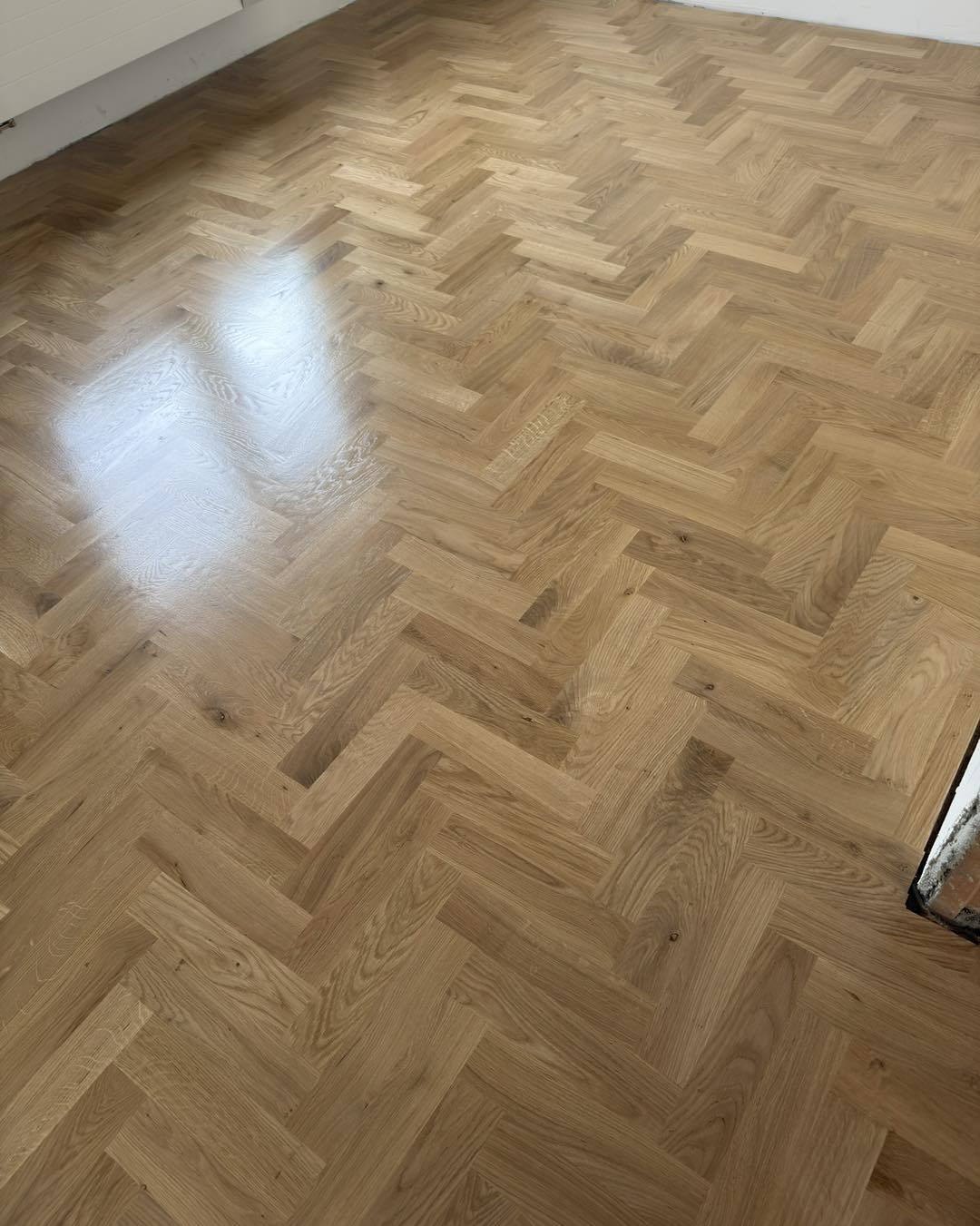 576361639 834907028930292 5586583353051754895 n