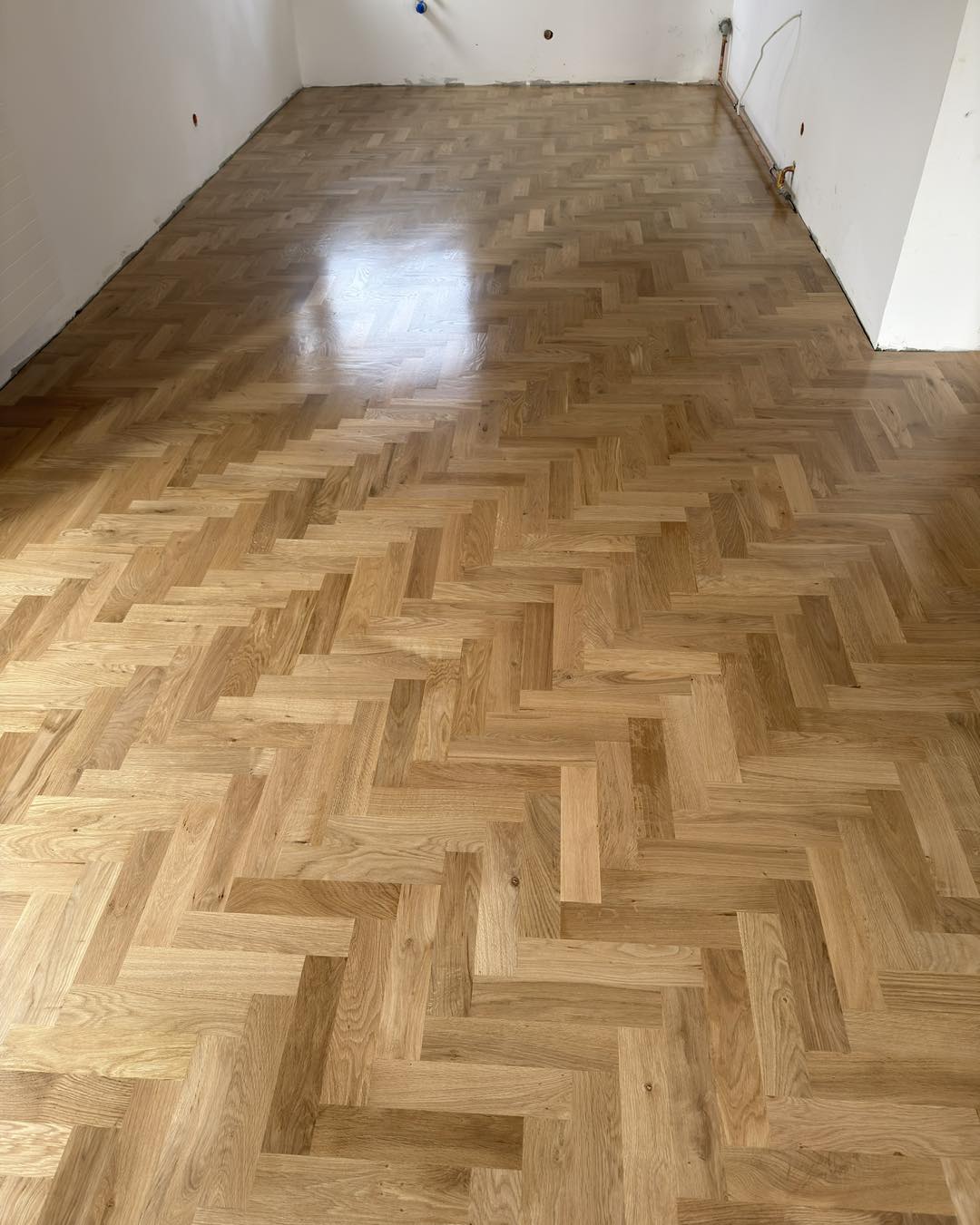 577003088 834907038930291 728666910593781042 n