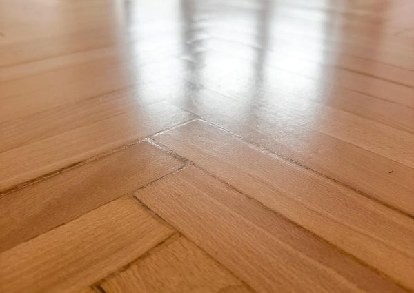 518283905 746834254404237 5877246135954039277 n